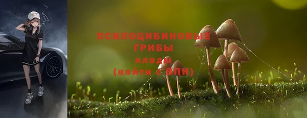 каннабис Арсеньев