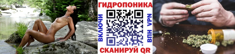 Бошки марихуана Bruce Banner Динская